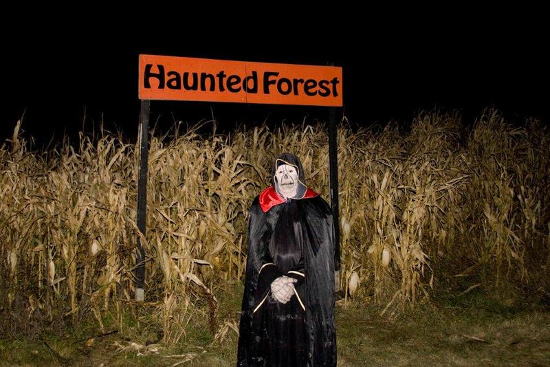 Enter the Haunted Forest at Amaze in Corn... if you dare (Amaze in Corn)